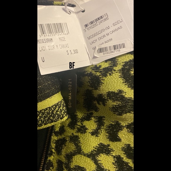 DIOR MEDIUM LADY D-LITE LIME POP MIZZA EMBROIDERY BAG! BRAND NEW! - Picture 13 of 14